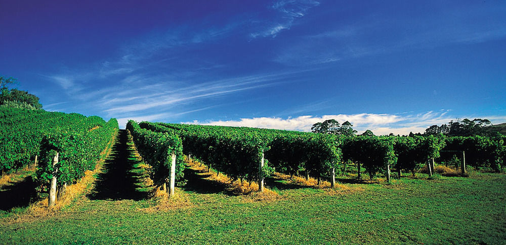Vineyard Cottages - Kumeu Waimauku Luaran gambar