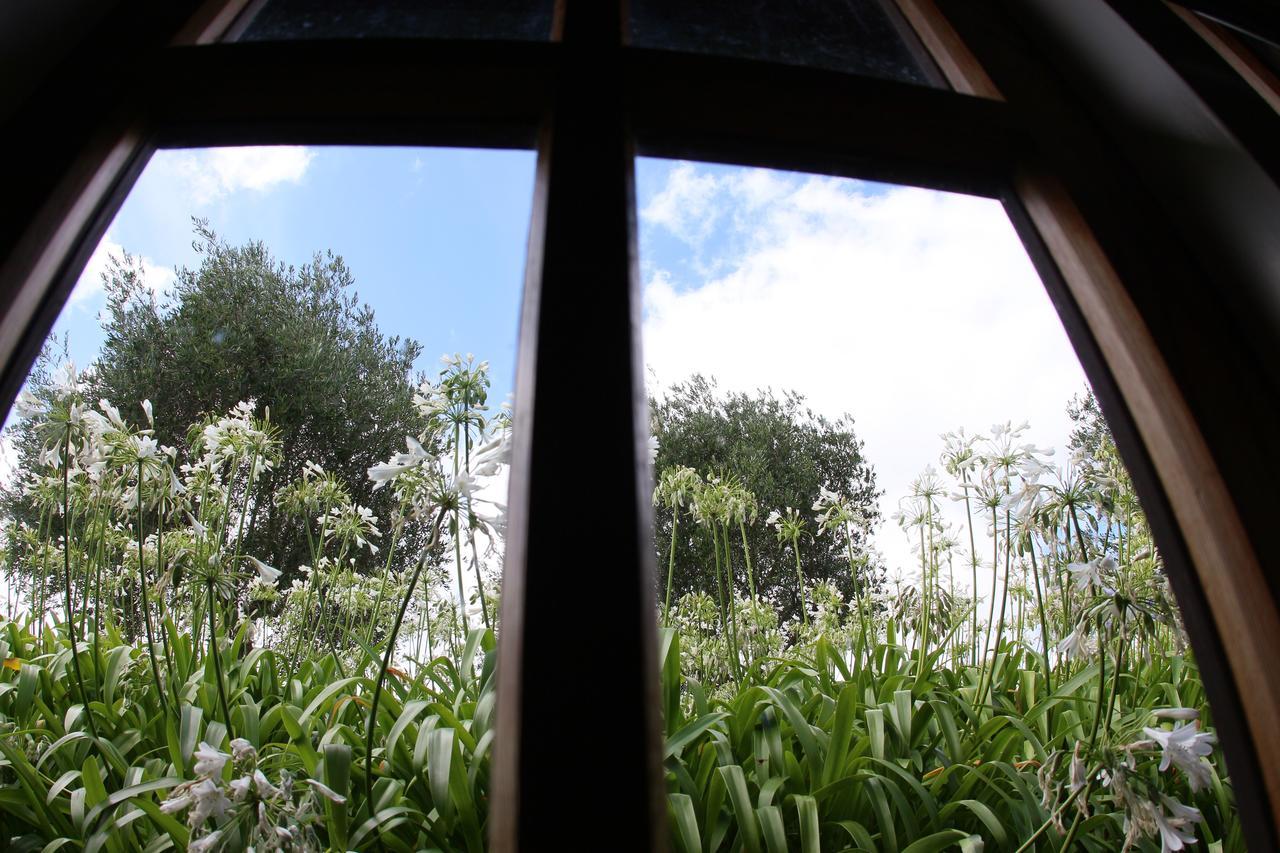 Vineyard Cottages - Kumeu Waimauku Luaran gambar