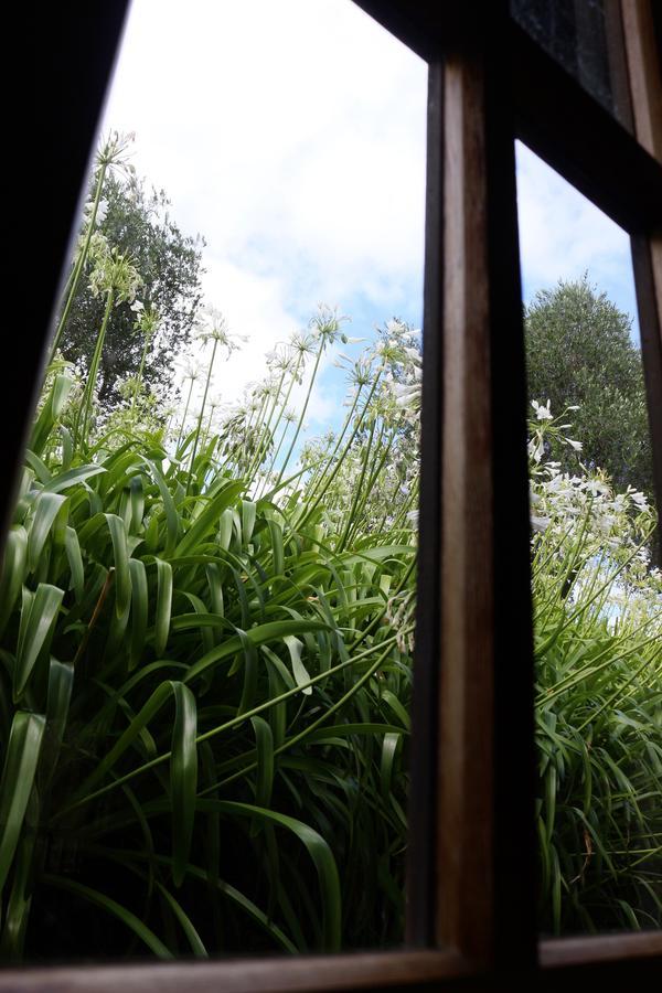 Vineyard Cottages - Kumeu Waimauku Luaran gambar