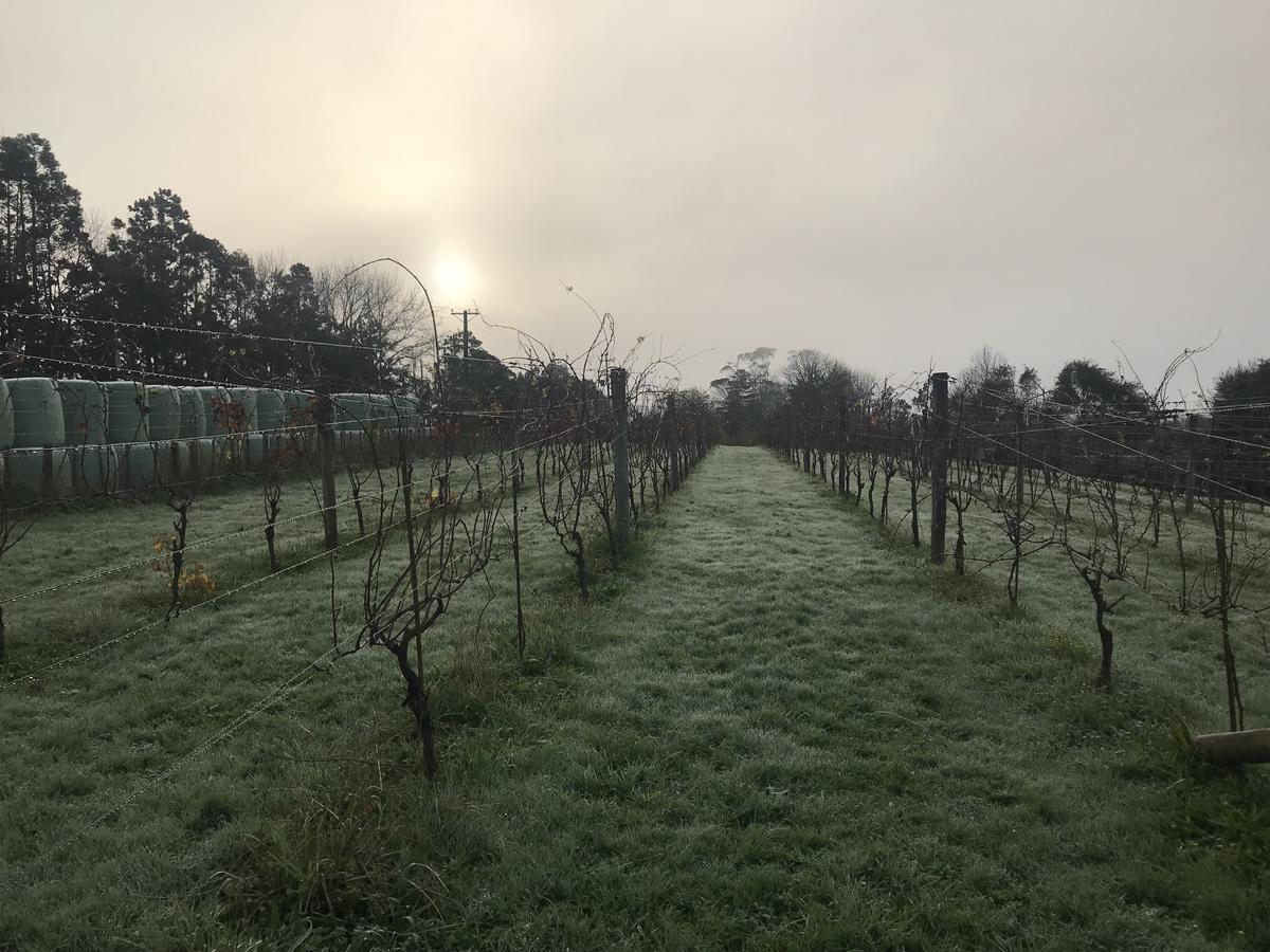 Vineyard Cottages - Kumeu Waimauku Luaran gambar