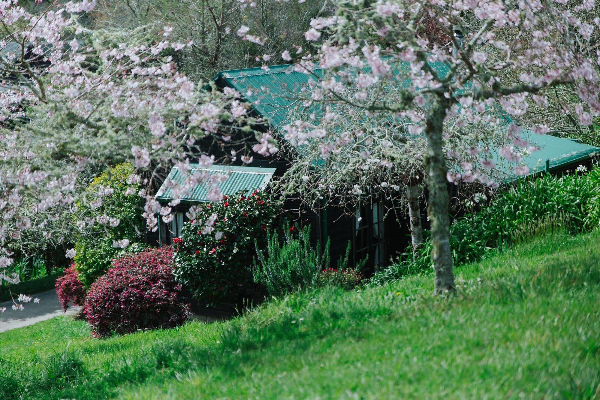 Vineyard Cottages - Kumeu Waimauku Luaran gambar